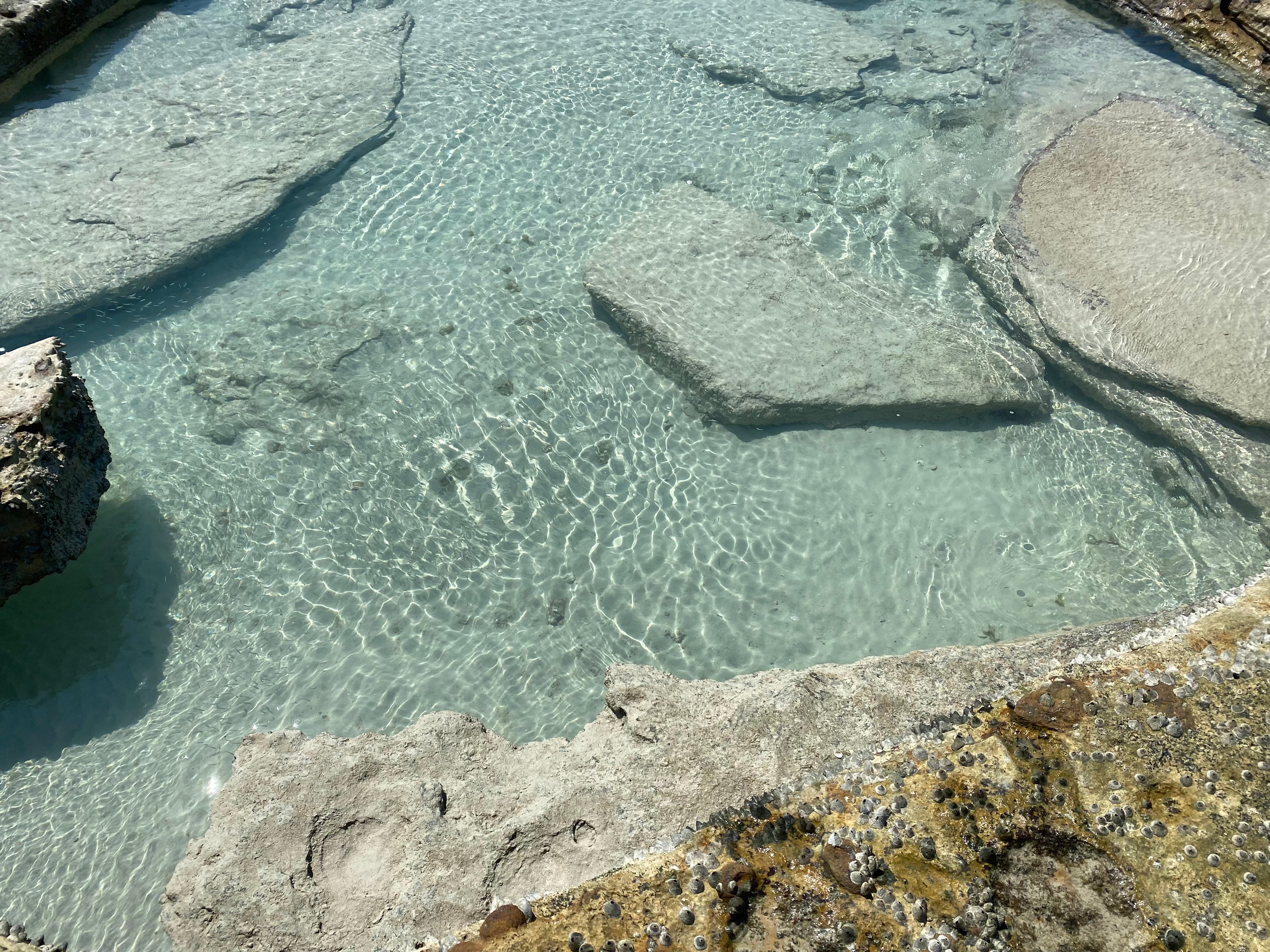 Blue Rockpool Broome
