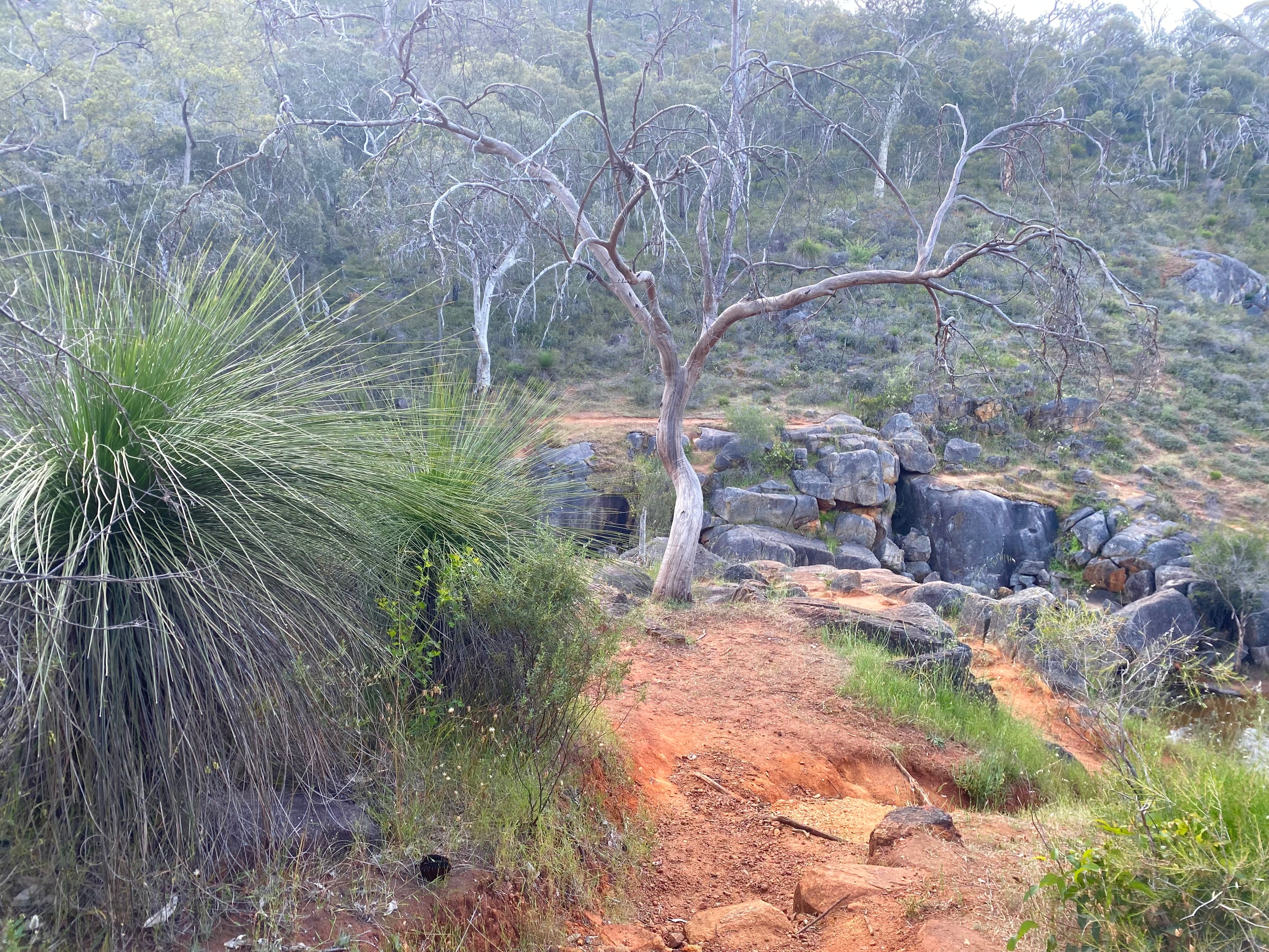 Kalamunda National Park