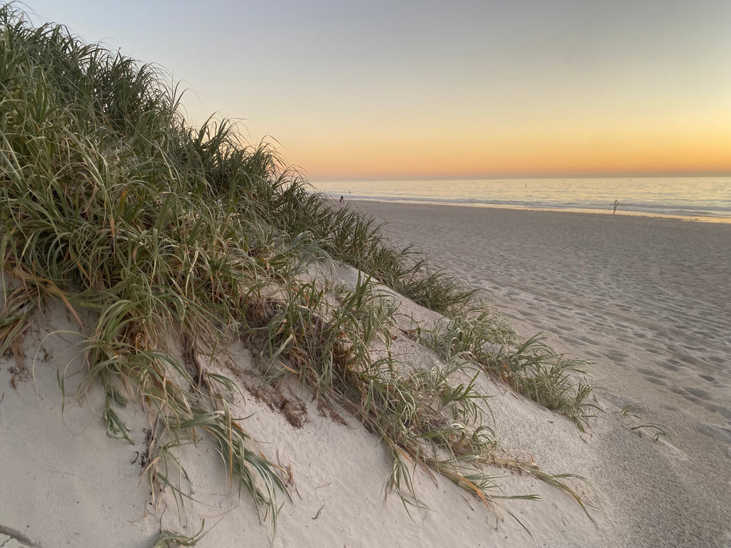 North Mullaloo Sand Dunes