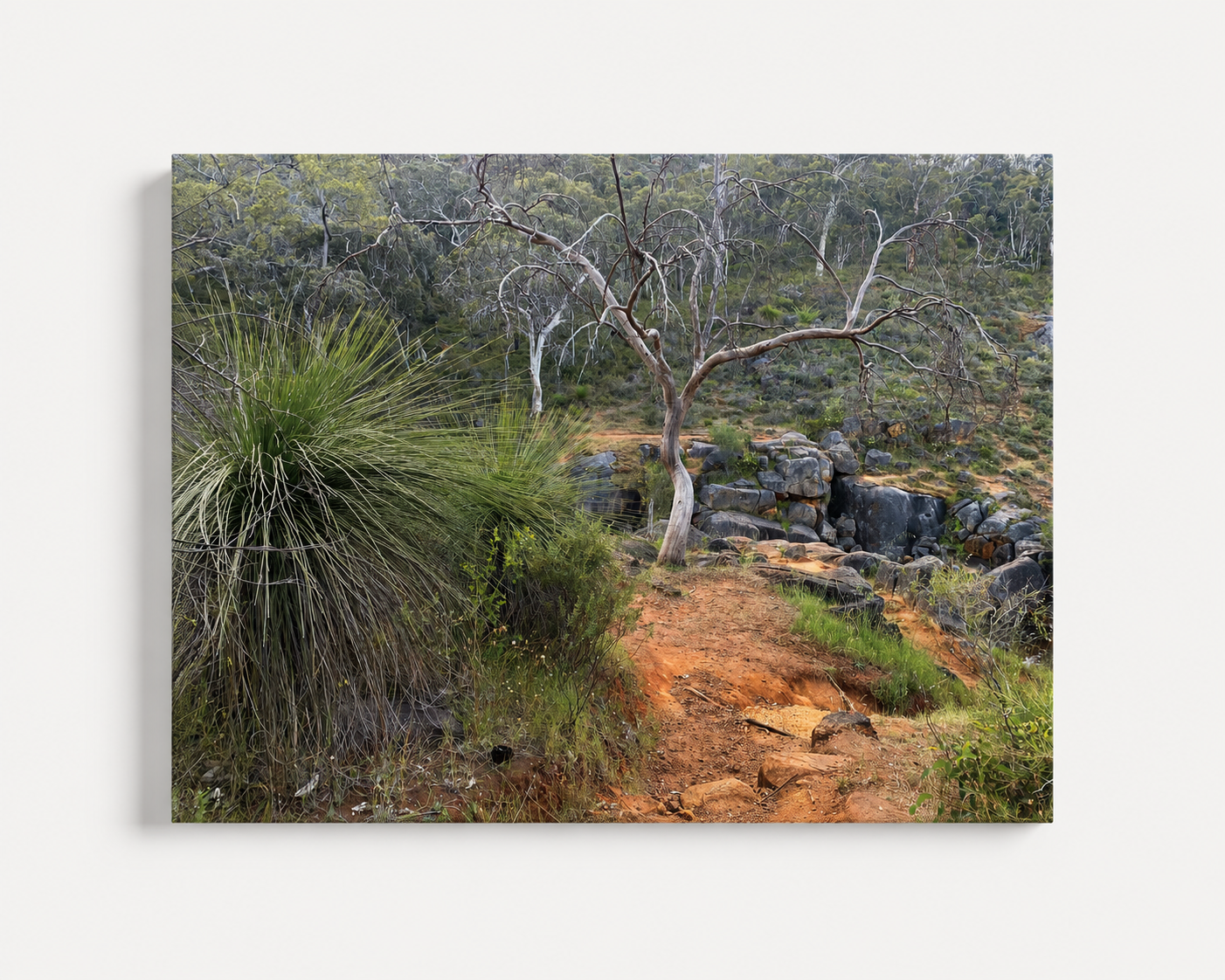 Kalamunda National Park